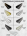 Алюминиевый Г-образный профиль для плитки 10мм ПО-201 черный муар 2.7м.