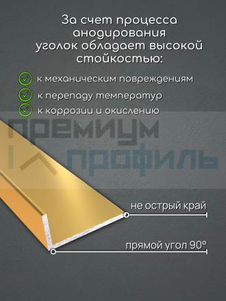 Алюминиевый анодированный декоративный уголок ПН-40х20мм золото/мат длина 2,7 м.