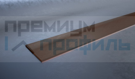 Полоса алюминиевая 20х1,5мм бронза глянцевый 2,7 м. DL141